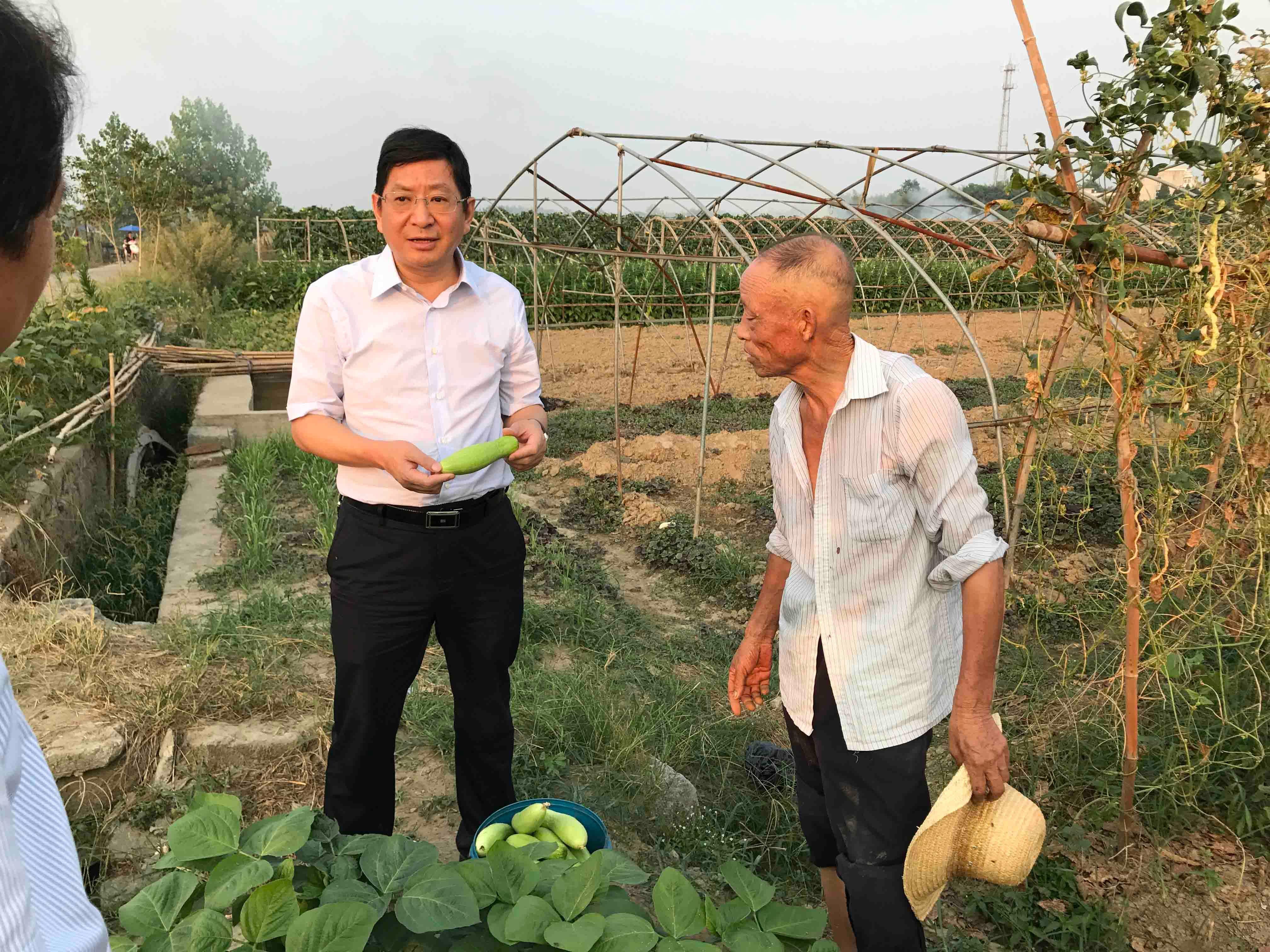 1623298113939922.jpg 20190104094655_5146.jpg