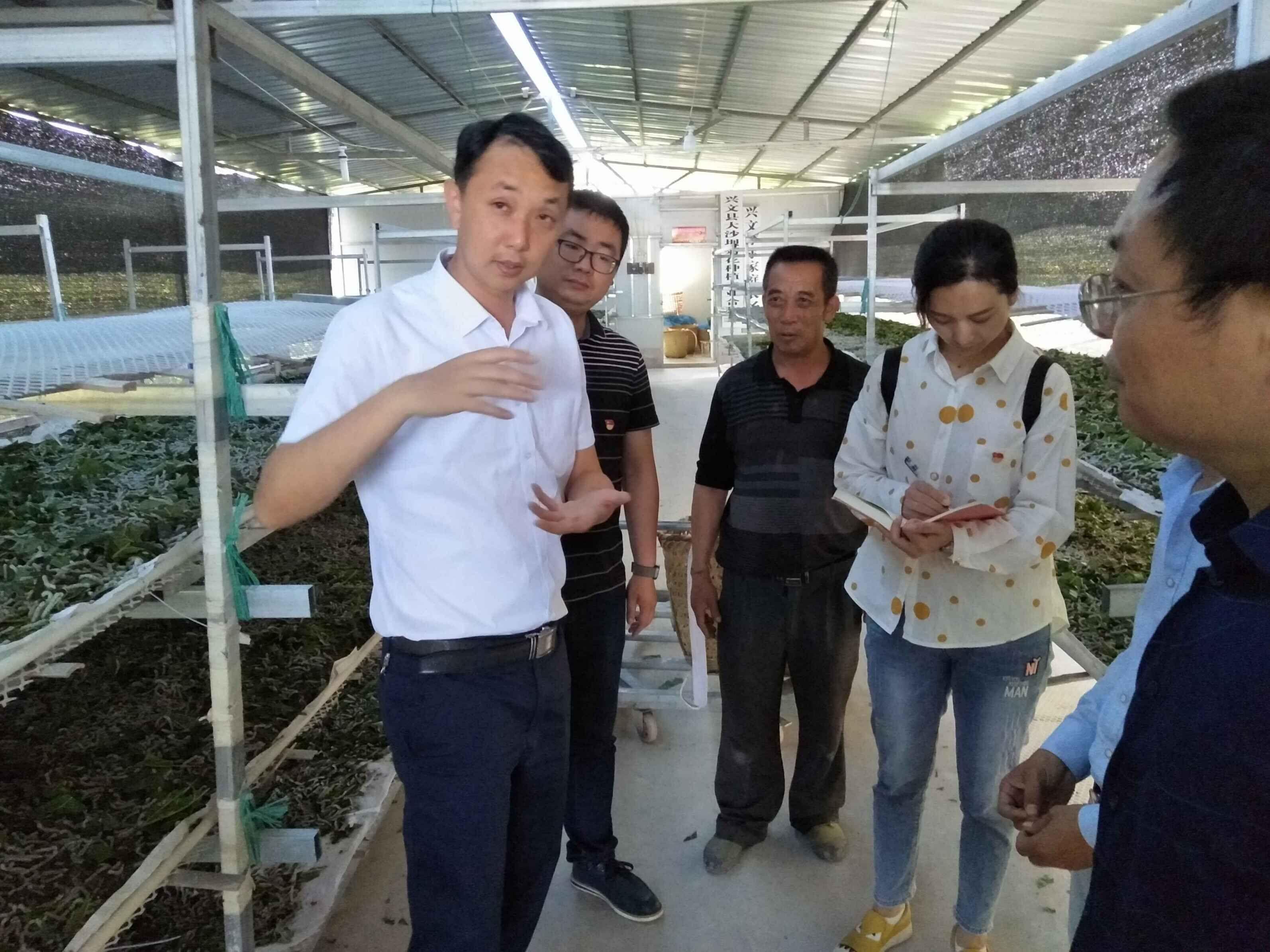 1623298853671870.jpg 20190122105109_1239.jpg